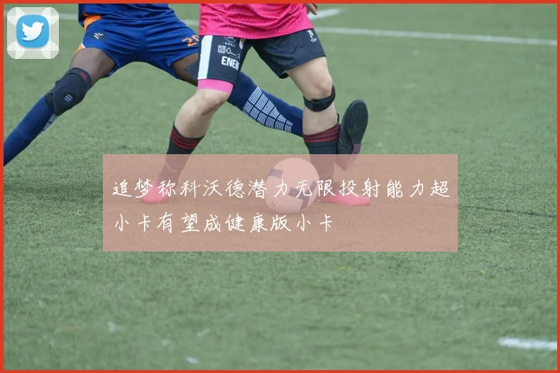 追梦称科沃德潜力无限投射能力超小卡有望成健康版小卡