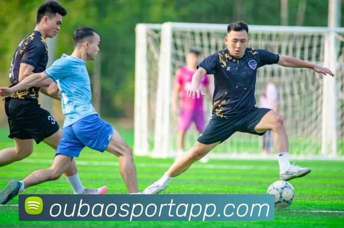 欧宝体育平台生态图